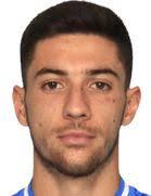 地拉那游击