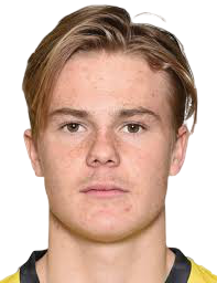 布加勒斯特快速